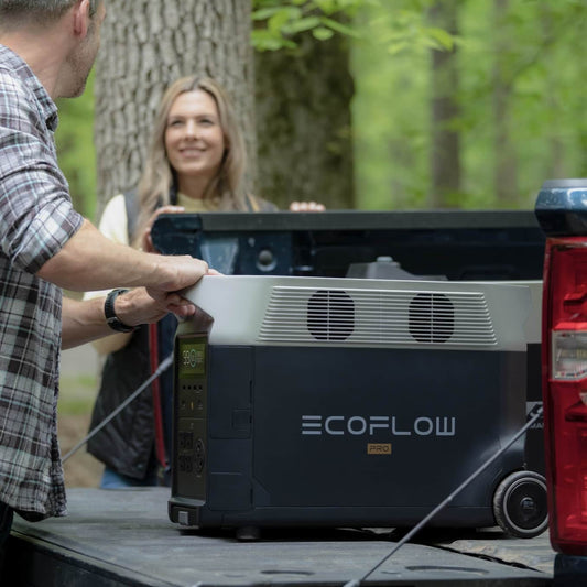 EcoFlow DELTA PRO